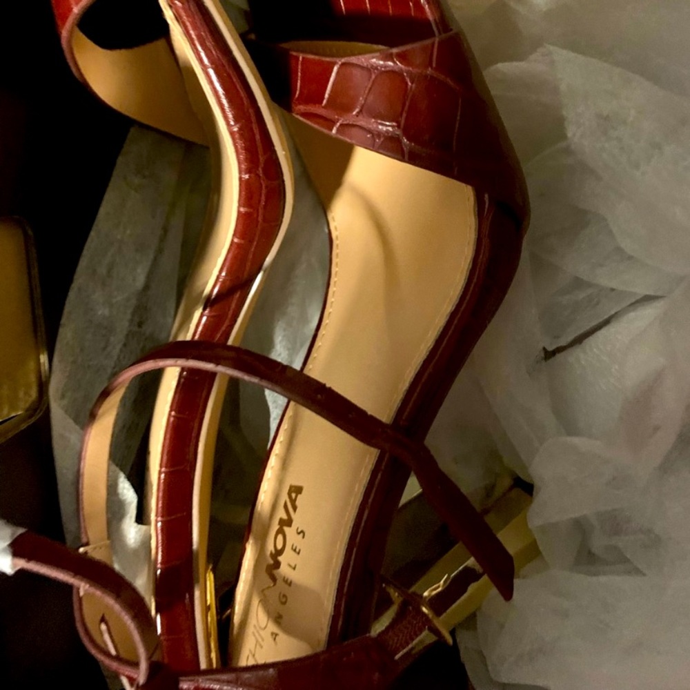 Fashion nova